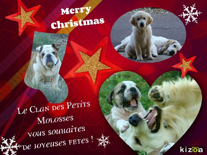 du clan des petits molosses - Joyeuses fêtes !